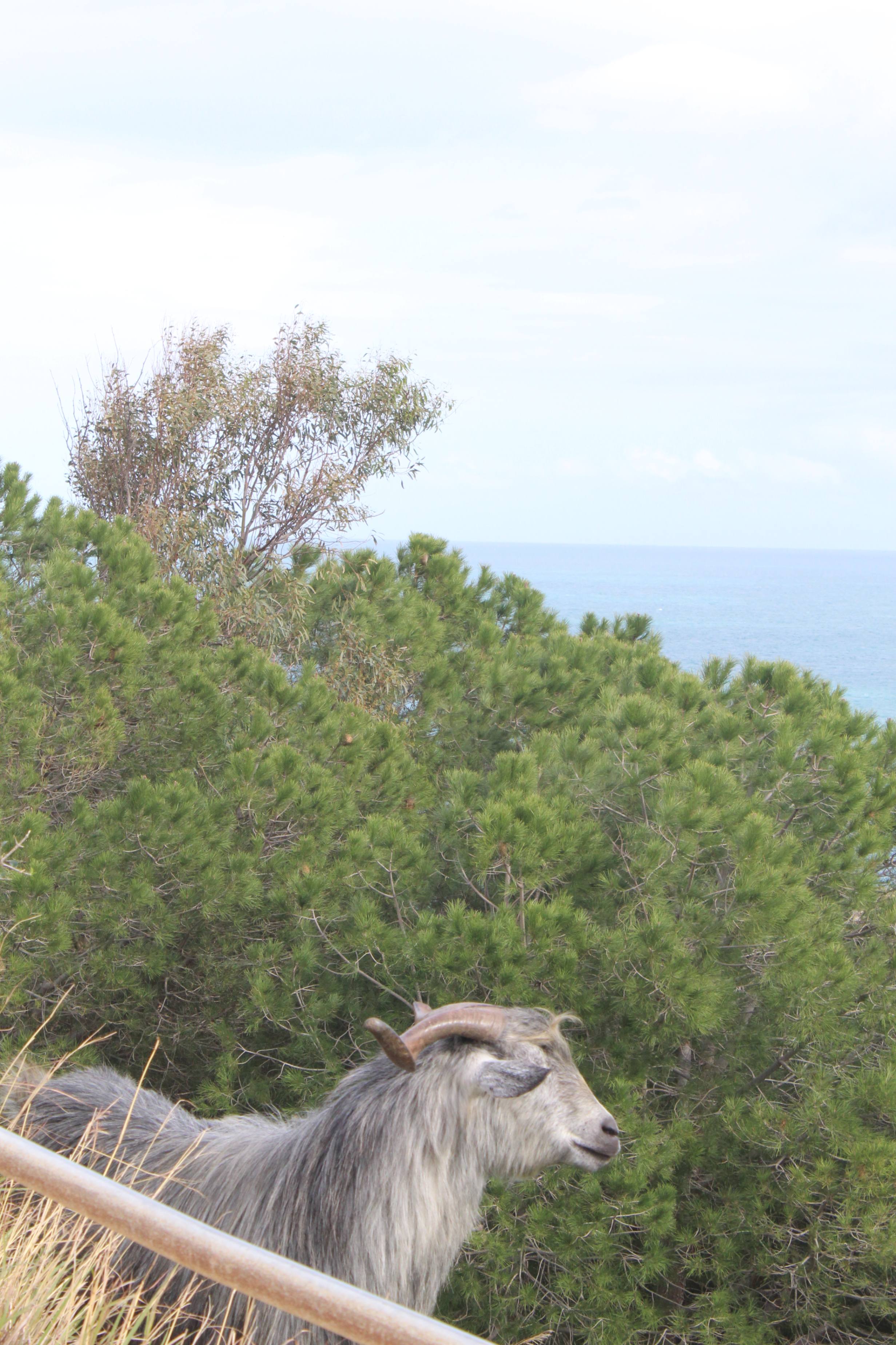 Excursion Tabarka